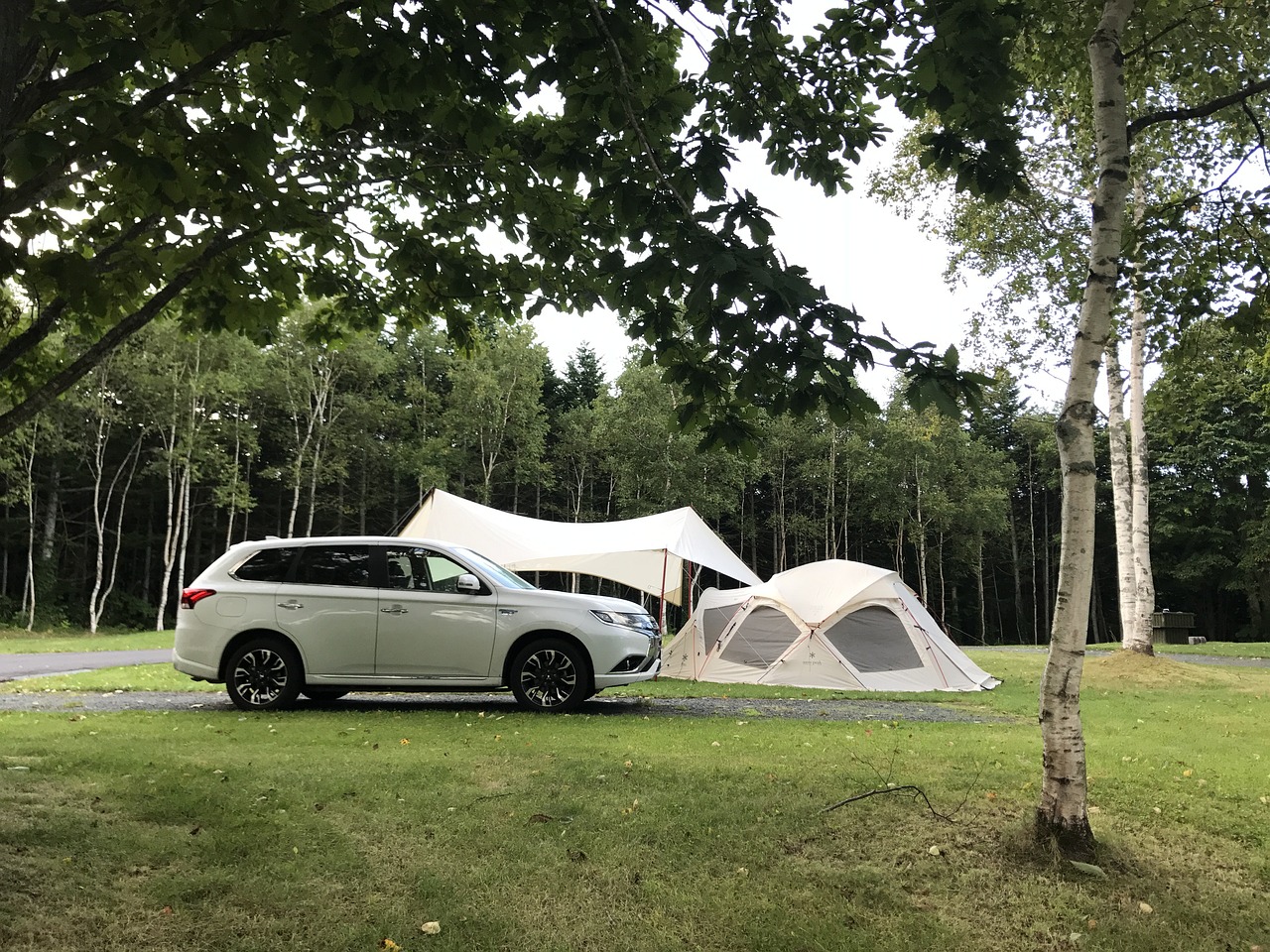 美女森林建木屋露營野餐，一次親近自然的奇妙之旅