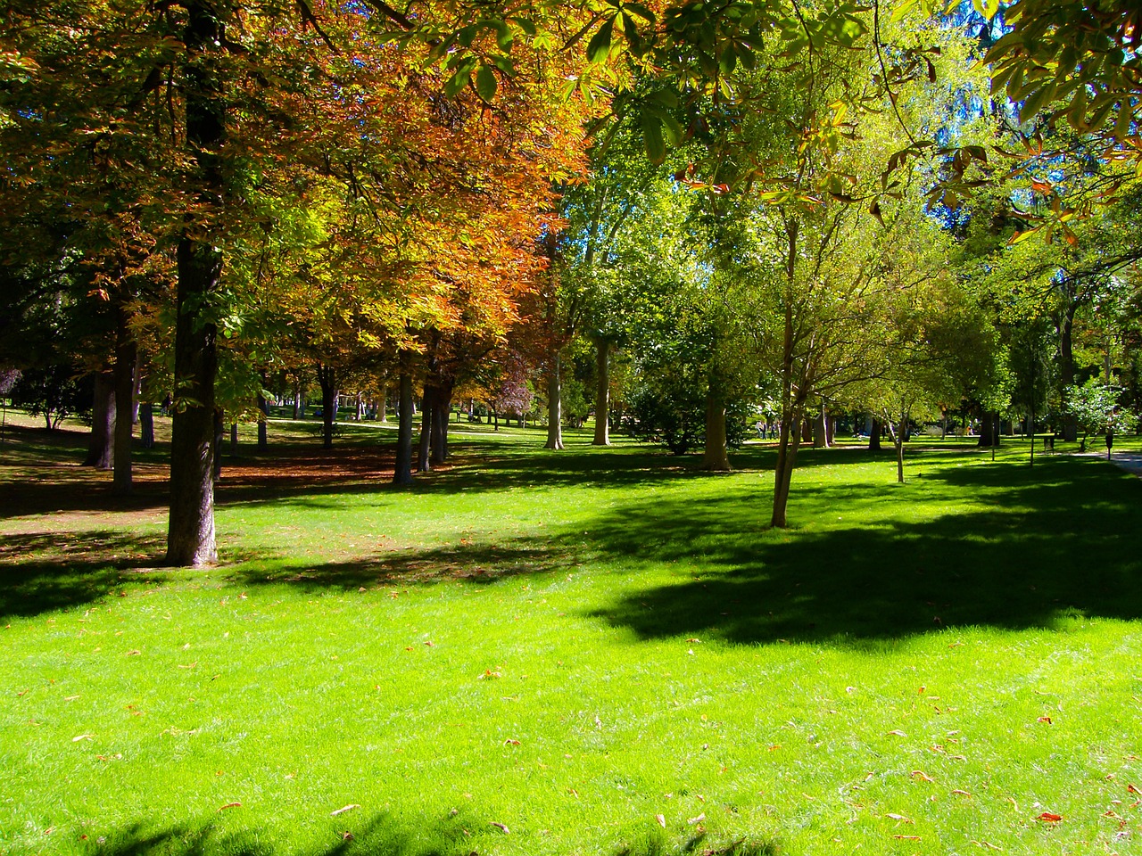 北京奧林匹克公園三期，城市綠色新篇章的開啟